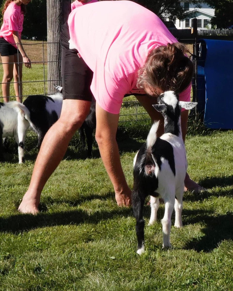 WSD—The Pride tweet media