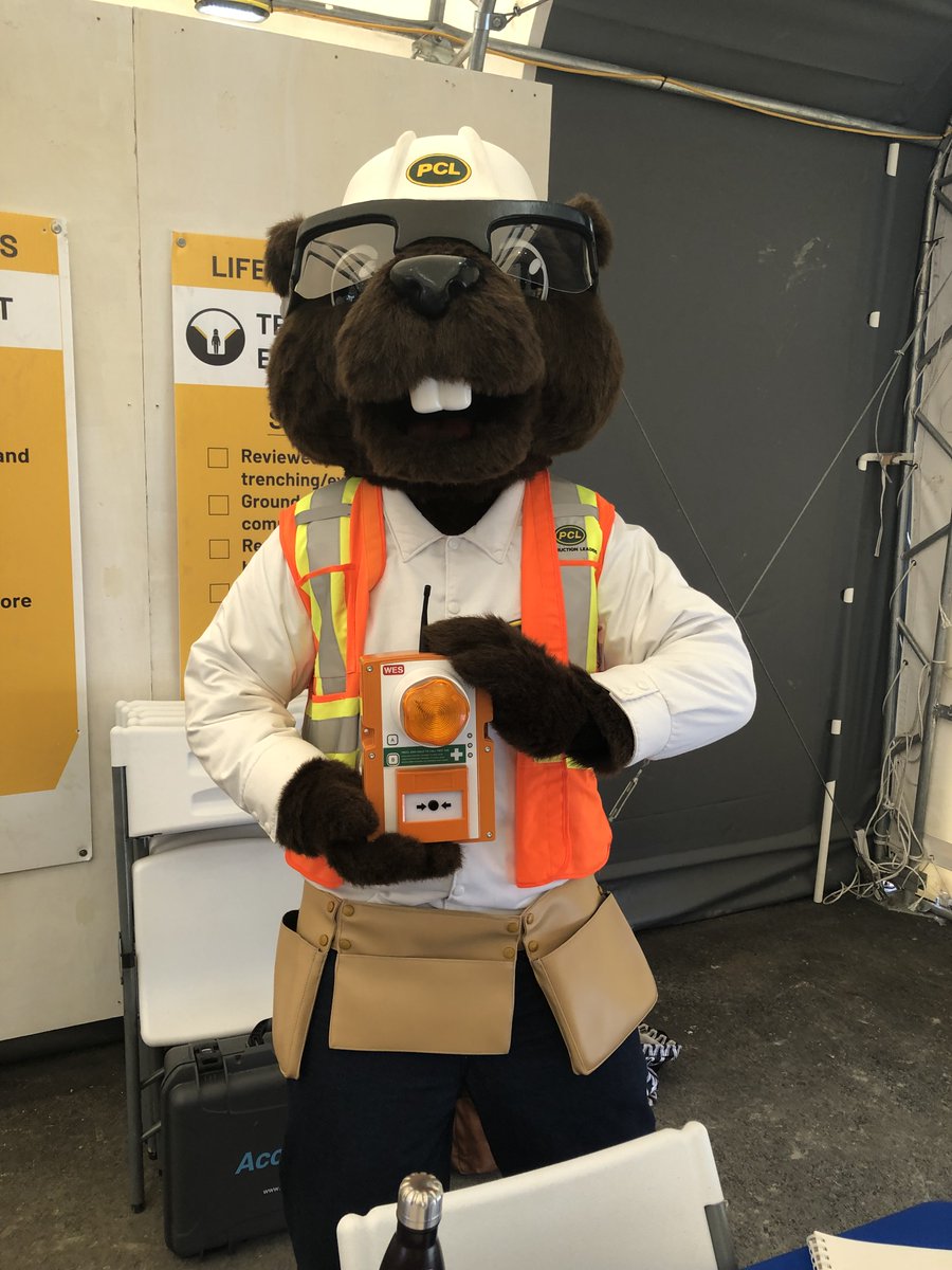 Safety first as demonstrated by Bidwell the Eager Beaver 🙌

<a href="/PCLConstruction/">PCLConstruction</a>