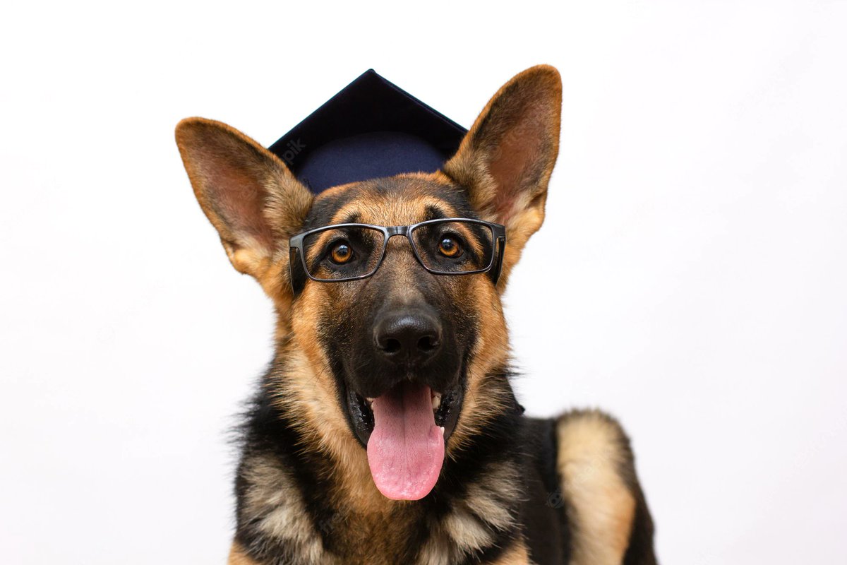 Getsetpet's tweet photo. Good Luck to all students today! 😌#AlevelResultsDay2022 #YouGotThis 

From the GetSetPet Team🐾 https://t.co/r42rPFtfOq