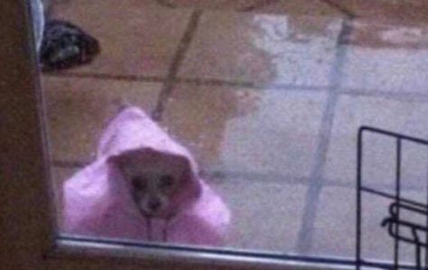 Yo apareciendo en la vida de mis amigos después de una inexplicable desaparición por varios meses