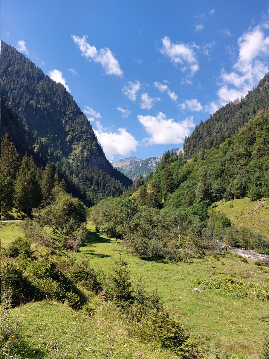 EcoNetLab (@econetlab) on Twitter photo New postdoc Position in our group <a href="/idiv/">iDiv Biodiversity Research</a> in Leipzig Germany. Higher order interactions, food webs and trees. PRT
jobs.uni-jena.de/jobposting/e1d… New postdoc Position in our group <a href="/idiv/">iDiv Biodiversity Research</a> in Leipzig Germany. Higher order interactions, food webs and trees. PRT
jobs.uni-jena.de/jobposting/e1d…