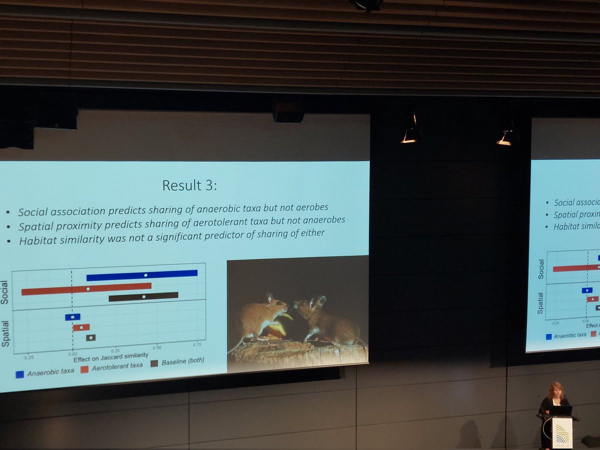 MicrobeDaniels's tweet photo. Great talk by @AuraRaulo at #ISME18 on whether environmental or social transmission is responsible for gut microbiome similarities among individuals https://t.co/ZfkEOiNT86