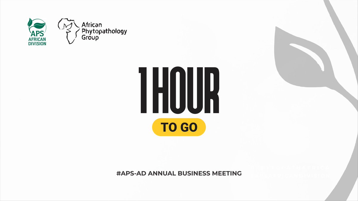 African Phytopathology Group (@phytopathafrica) on Twitter photo Tell a friend to tell a friend, we are getting closer.
#PHYTOPATHAFRICA
#APSAFRICANDIVISION
@MJ_Ojonuba <a href="/rauwane_m/">Molemi Rauwane</a> <a href="/deejite1086/">John O. Oladokun</a> <a href="/mbewewillard/">Willard Mbewe</a> <a href="/Ebunajobiewe/">Ebunoluwa Ajobiewe MSc.</a> <a href="/LandbouLisa/">Lisa Rothmann</a> <a href="/shabintiyusuf/">Dr. Shahasi Y. Athman🇰🇪🇺🇬</a> <a href="/DrBophela/">Dr Khumbuzile Bophela, PhD</a> <a href="/moyo_plantpath/">Lindani Moyo</a> <a href="/OUnung/">Okon Unung</a> <a href="/FaithABankole/">Faith Ayobami Bankole</a> <a href="/Maxpayyne15/">Maxwell Chibuogwu 🥻🧥</a> <a href="/APS_OIP/">APS Office of International Programs</a> <a href="/plantpathgrads/">APS Graduate Student Committee</a> Tell a friend to tell a friend, we are getting closer.
#PHYTOPATHAFRICA
#APSAFRICANDIVISION
@MJ_Ojonuba <a href="/rauwane_m/">Molemi Rauwane</a> <a href="/deejite1086/">John O. Oladokun</a> <a href="/mbewewillard/">Willard Mbewe</a> <a href="/Ebunajobiewe/">Ebunoluwa Ajobiewe MSc.</a> <a href="/LandbouLisa/">Lisa Rothmann</a> <a href="/shabintiyusuf/">Dr. Shahasi Y. Athman🇰🇪🇺🇬</a> <a href="/DrBophela/">Dr Khumbuzile Bophela, PhD</a> <a href="/moyo_plantpath/">Lindani Moyo</a> <a href="/OUnung/">Okon Unung</a> <a href="/FaithABankole/">Faith Ayobami Bankole</a> <a href="/Maxpayyne15/">Maxwell Chibuogwu 🥻🧥</a> <a href="/APS_OIP/">APS Office of International Programs</a> <a href="/plantpathgrads/">APS Graduate Student Committee</a>
