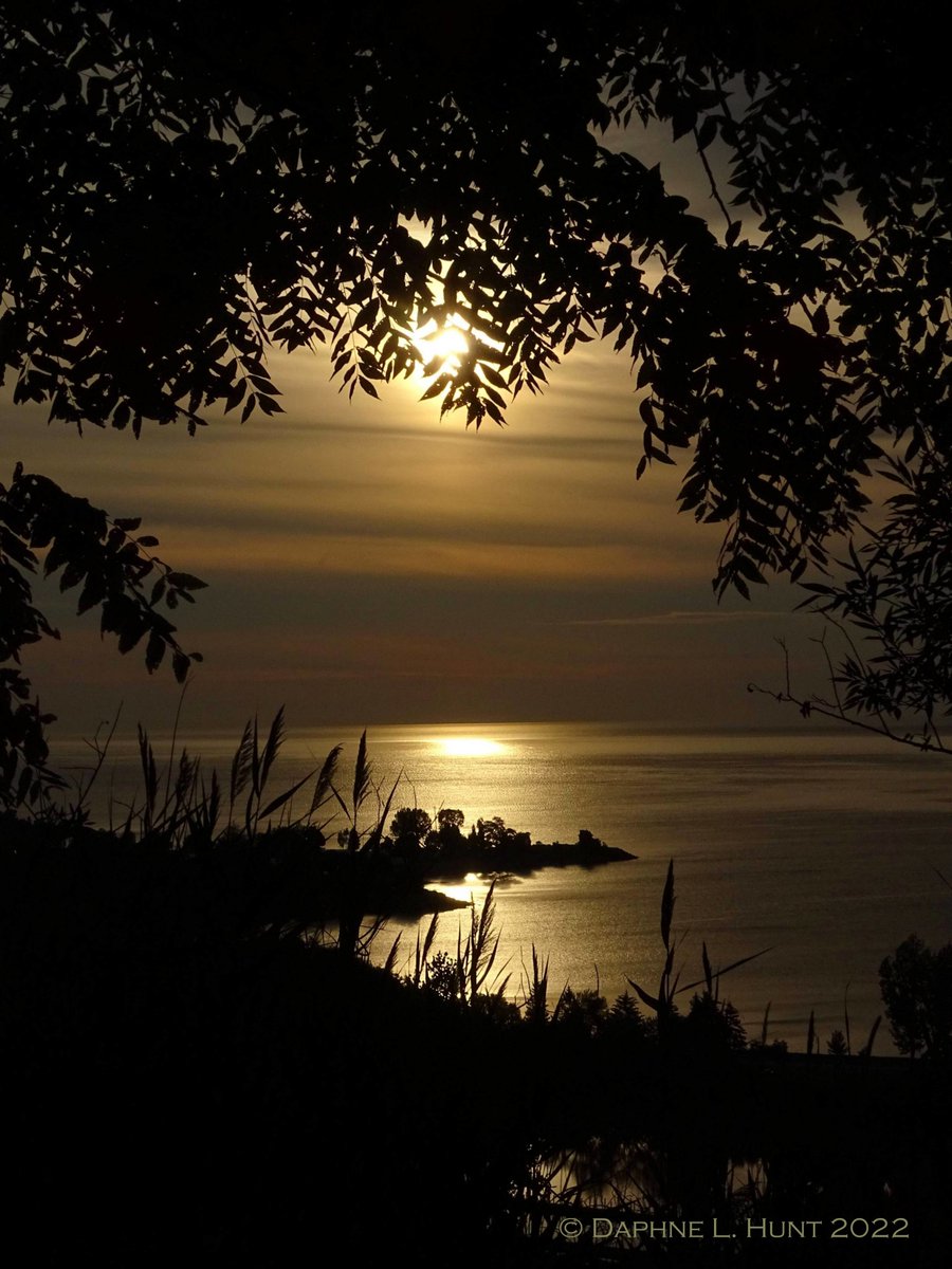 DaphneLHunt1's tweet photo. Sunrise at Bluffers Park Beach, Sunnypoint Park, and Scarboro Crescent Park.
#Sunrise #TheSunriseProject #BluffersParkBeach #SunnyPointPark #ScarboroCrescentPark #Bluffs #Cliffside #Cliffcrest #Scarborough #Toronto #LakeOntario #TorontoLakefront https://t.co/sExpOnjBtO