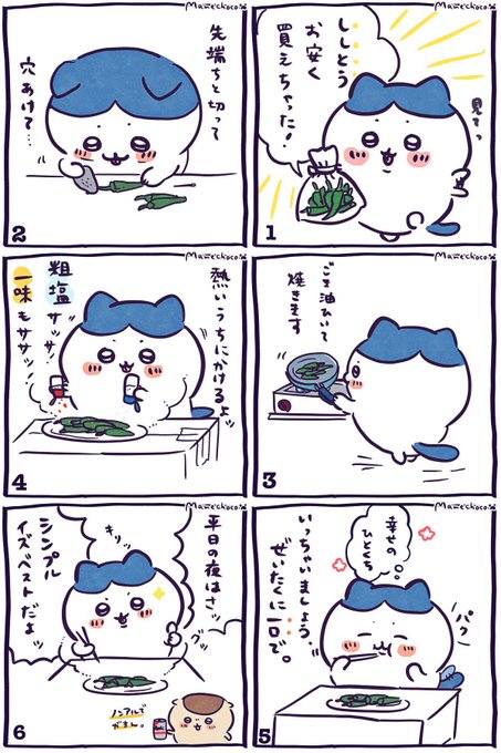 お得に買えたししとうが美味しかったってだけなんですけど、幸せです