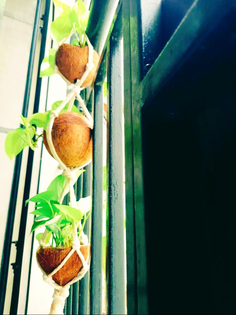 wordsandnotion1's tweet photo. കുറച്ചു നാൾ മുന്നേ
#MacrameThread ൽ
ഇങ്ങനെ ഏതാണ്ടൊക്കെ
ഒപ്പക്കുമായിരുന്നു..
വീണ്ടും തുടങ്ങിയാലോന്നാ.. https://t.co/Iue9yOGQ0M