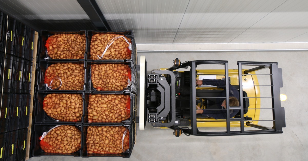 op 17 augustus is de eerste vracht met miniknollen afgeleverd bij de miniknollenopslag van Agrico. De opslag heeft een capaciteit voor 10 miljoen miniknollen en is uitgerust met vier cellen. Hierdoor kan Agrico de miniknollen optimaal bewaren. 👇
agricopotatoes.com/nl/nieuwsoverz…