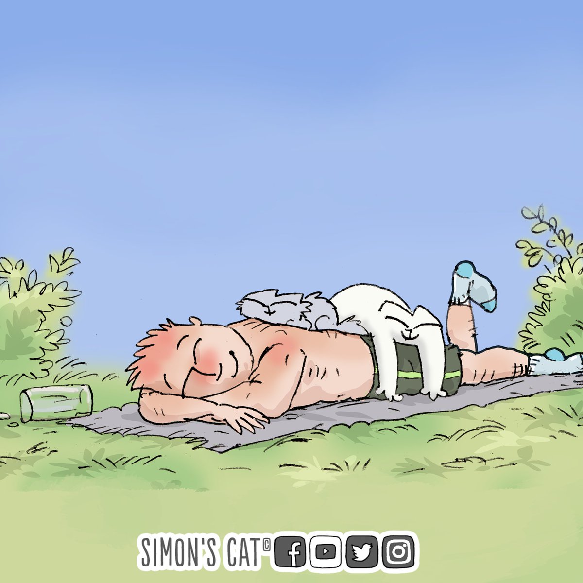 Simon's Cat 🐾 tweet media