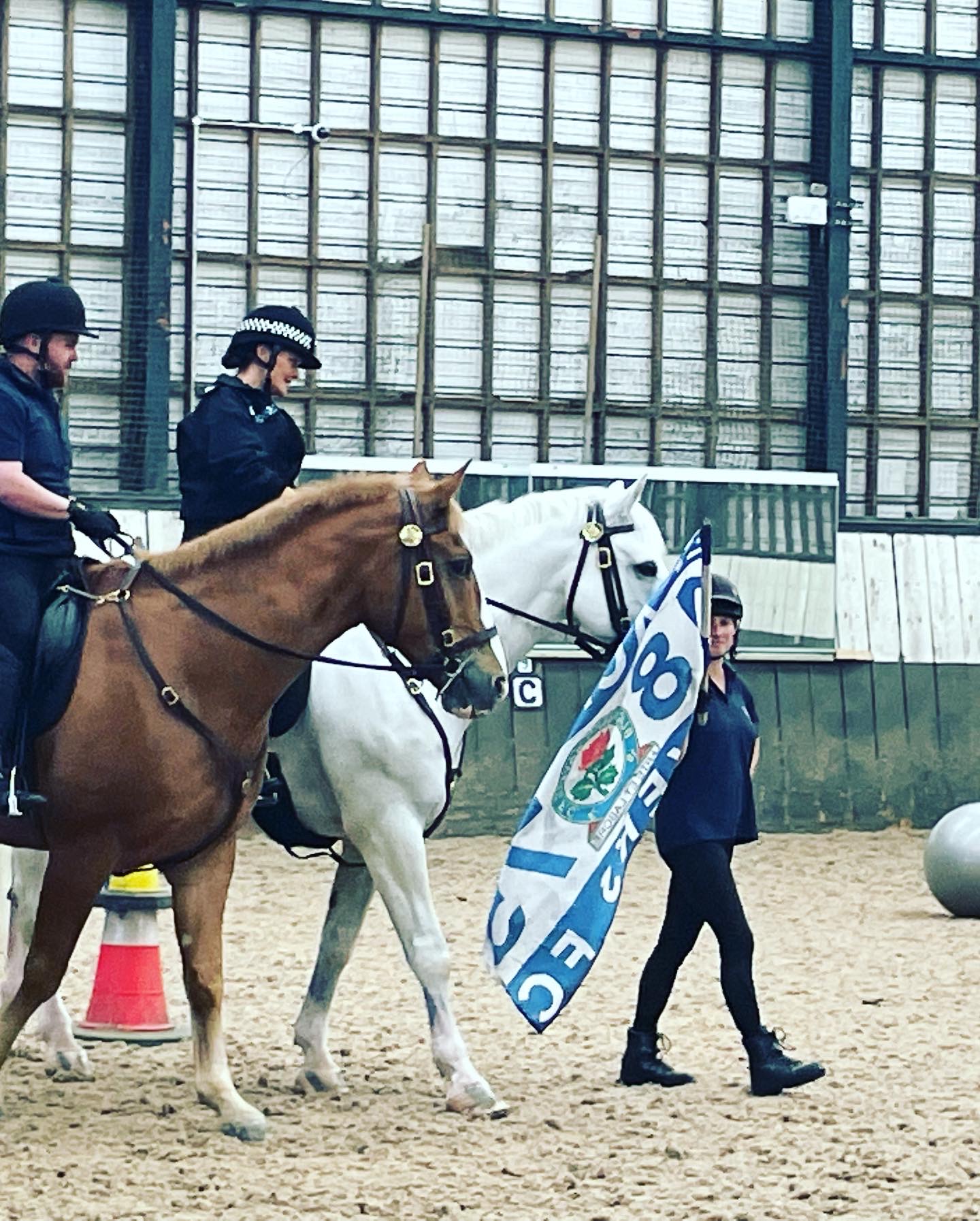 GMP Tactical Mounted Unit (GMPHorses) / Twitter