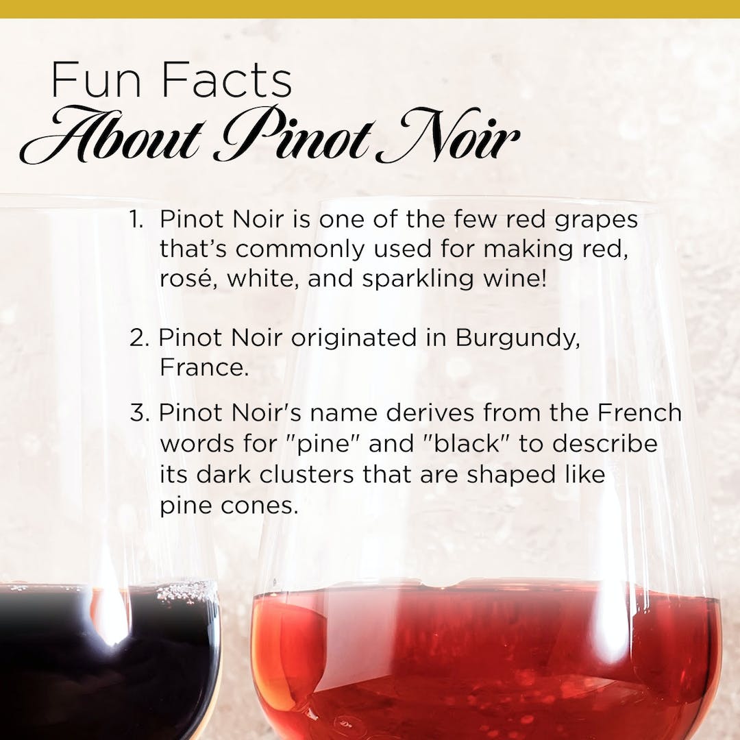Happy National Pinot Noir Day.  Enjoy some fun facts, and our top Pinot Noirs.
go.boissetcollection.com/52b5h3
Use coupon PINOT22, Offer ends, 8/18, 11:59 PM PT. 

#wine #winelife #winestyle #womenandwine #wineopportunity #blackwinelover #winelovers #pinotnoirloves #winelifestyle