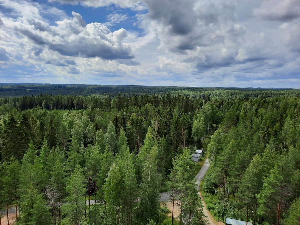 Amazing 2 weeks at Hyytiälä summer school! Picture from the top of SMEAR II! @ceciliecarstens  
<a href="/HyytialaHY/">Hyytiälä Forest Station</a> #WomenInScience #AtmosphericChemistry #NPF