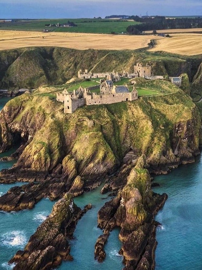 Simonal65407906's tweet image. 