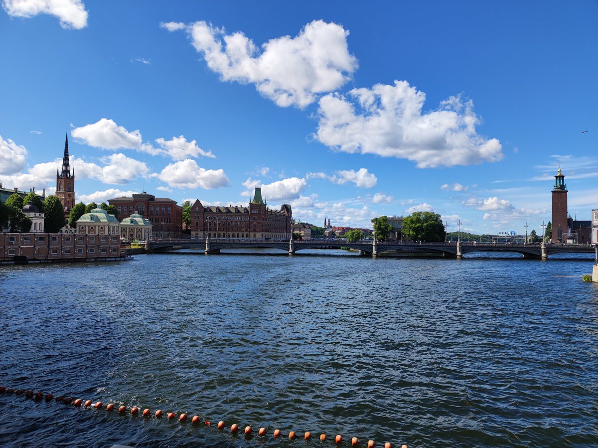 DaniStel tweet media