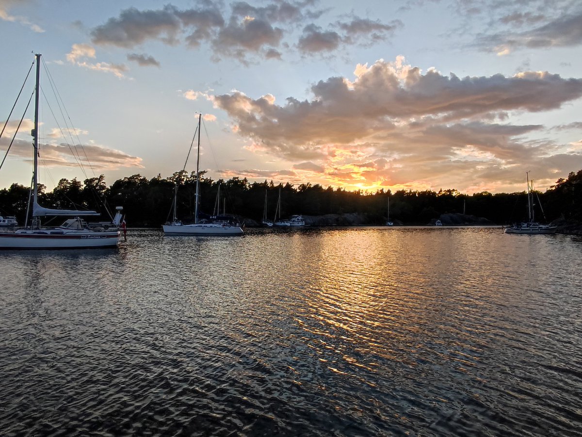 DaniStel tweet media