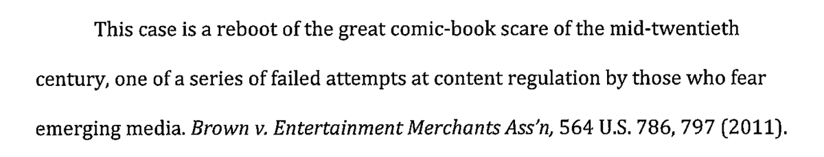 An excerpt from the most recent brief I co-authored &amp; filed in the Virginia Beach obscenity action vs. Gender Queer. You can read our opening and reply briefs in their entirety here: drive.google.com/drive/folders/…