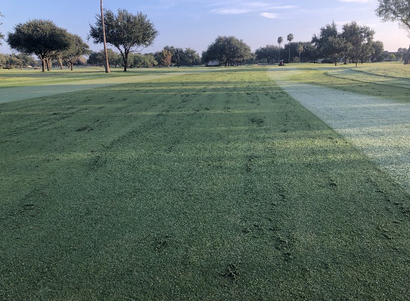 Patrick Neuendorff tweet media