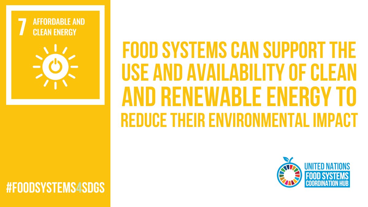 UN Food Systems Coordination Hub tweet media