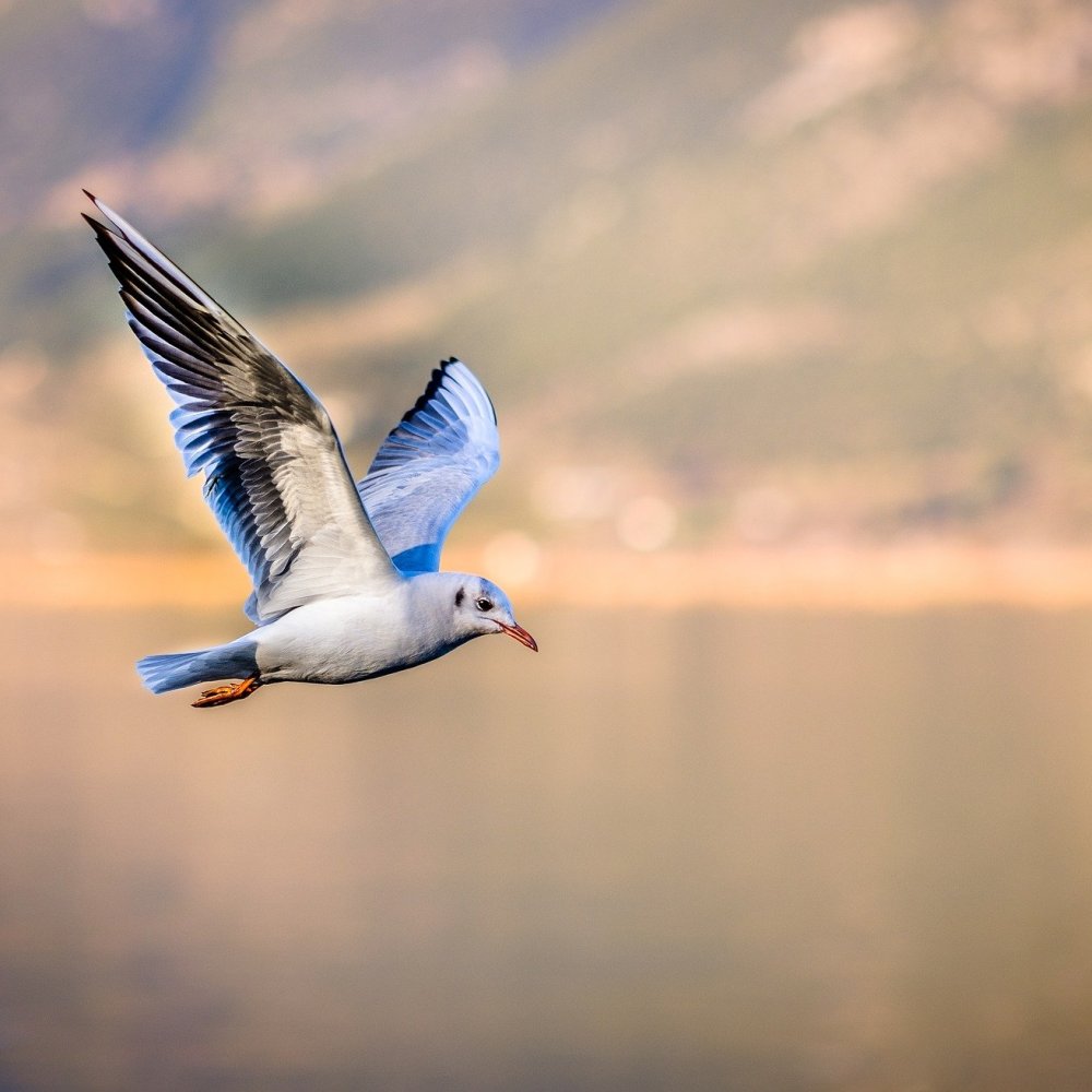 Costs and interest rates are increasing and so can debt. If you are worried about your level of household debt, we may be able to help with advice, restructuring (via CMCU) and a debt management plan (via StepChange).

Please contact us in confidence: clergysupport.org.uk/debt-support#g…