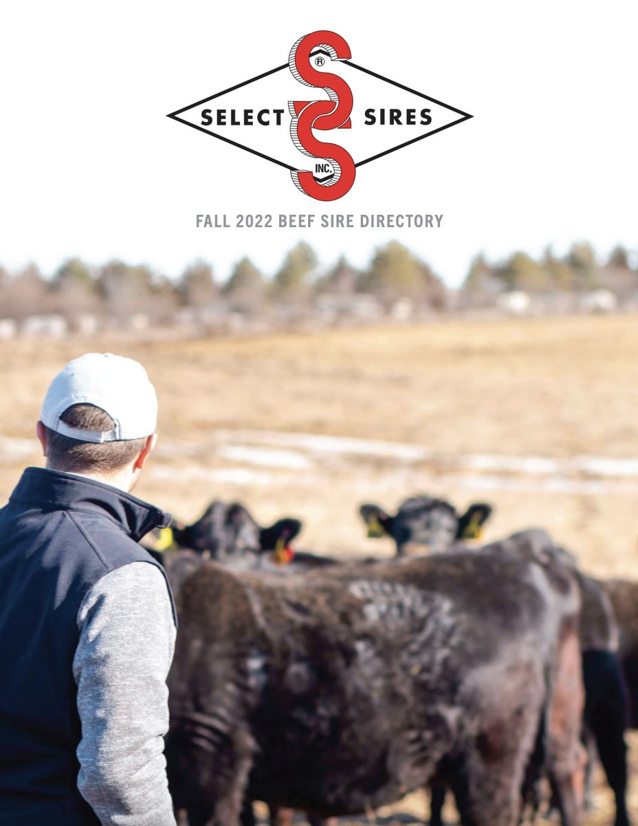 SelectSiresBeef's tweet image. The Fall 2022 Beef Sire Directory is now online for your viewing! 

Be sure to check it out for loads of exciting and new information.

issuu.com/selectsiresbee…