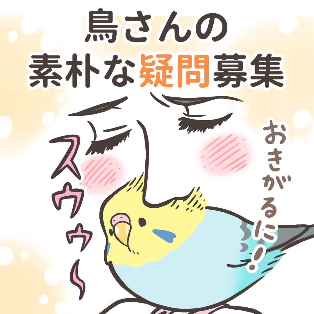 連載中【トリ扱い説明書】の企画です😆

⭐️【鳥さんについて疑問に思っている事】⭐️を
        大募集させて下さい🐥🙇‍♀️

・鳥さんの目は良いの?
・汗はかかないの?…などなど

どんな小さいことでも構いません
ご協力頂けると嬉しいです〜!!😆🕊
お気軽にリプライお待ちしております💕 