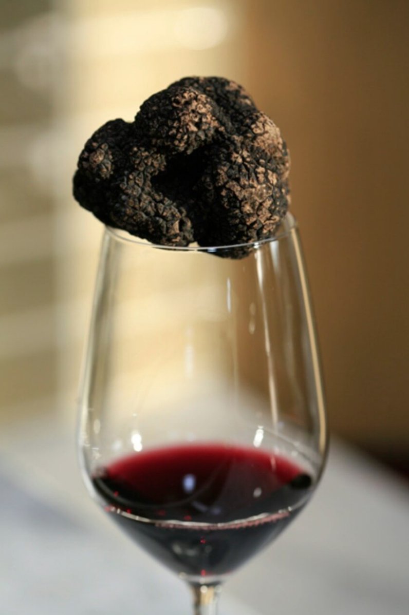Happy #NationalPinotNoirDay from the #AmericanTruffleCompany® 🍷

Celebrate with this special treat: pair your favorite #NapaValley #PinotNoir with freshly shaved black truffles over hearty pasta or grilled red meat. 

Cheers &amp; bon appétit!
americantruffle.com