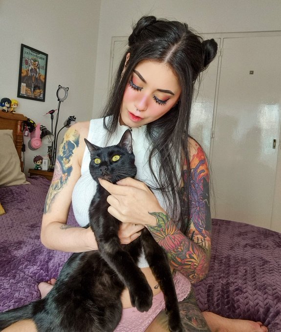 🐱🖤 https://t.co/plgTc6pP3n<a href="/tag/genshinimpact"class="tags"><span>#genshinimpact</span></a>