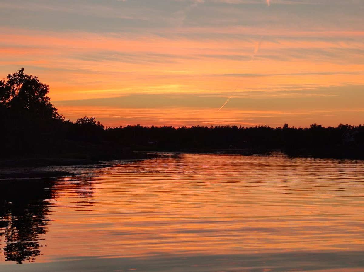 DaniStel tweet media