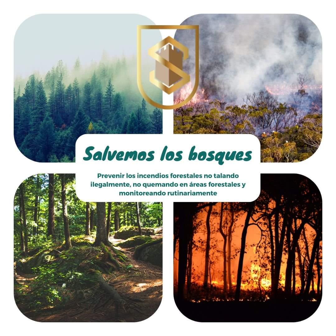 Hoy se celebra el Día Mundial de la Prevención de Incendios Forestales, con la finalidad de sensibilizar a la población de la necesidad de cuidar y preservar los bosques.

#PrevenciónIncendiosForestales #ProtegeLosBosques