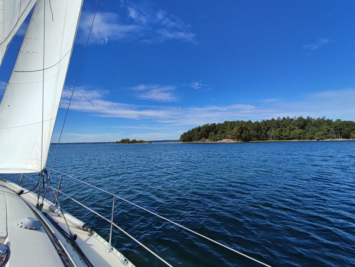 DaniStel tweet media