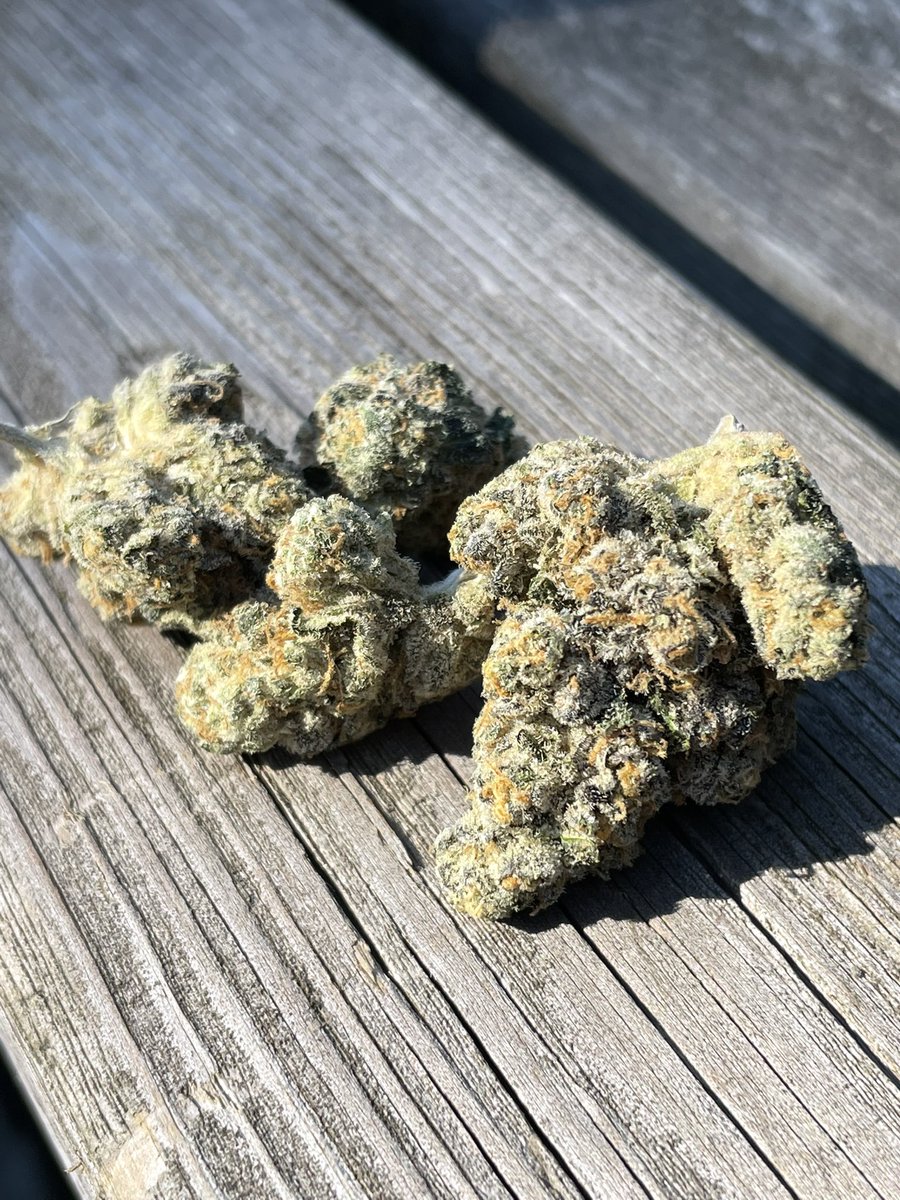 heretic conker tweet media