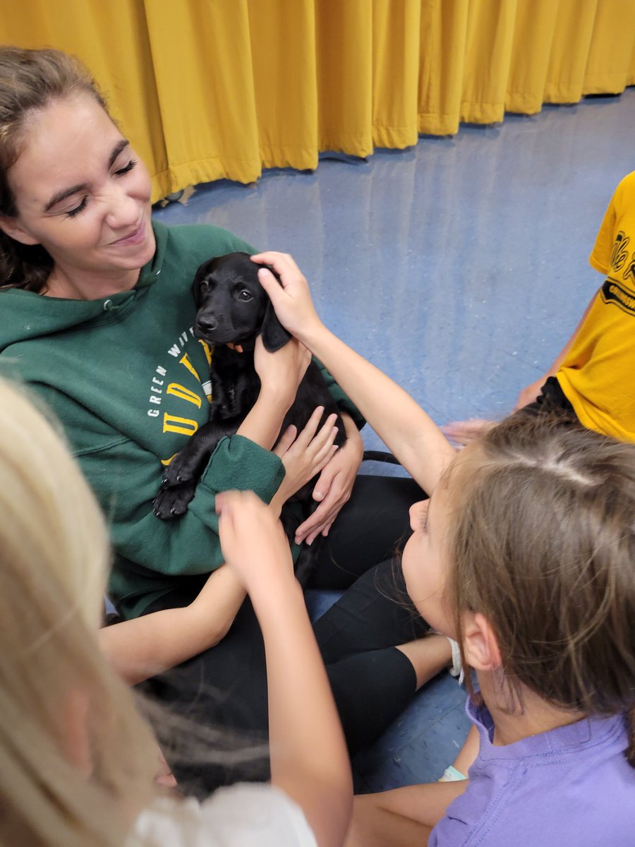 Sharp 5th Grade tweet media