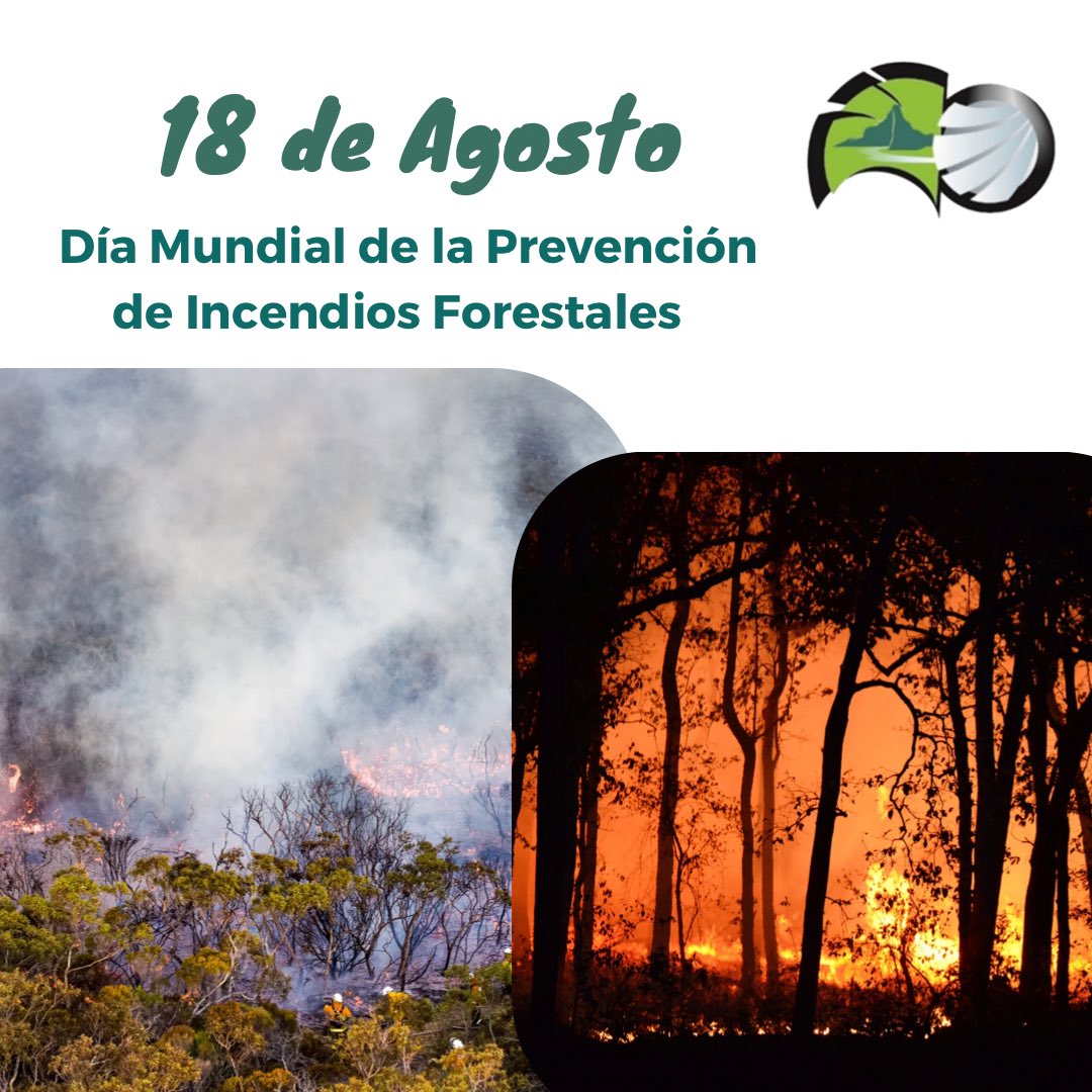 Ningún país del mundo se libra del peligro de los incendios forestales, donde grandes masas de árboles quedan incinerados, arrasando con la vida que albergan estos bosques.

#PrevencionIncendiosForestales 
#Pedepe
#PorElDesarrolloDeTodos