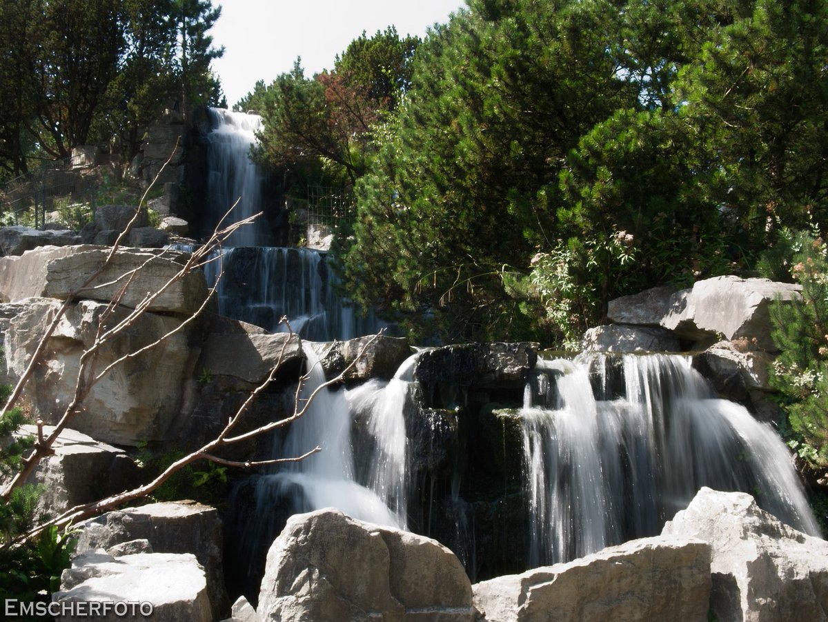 thisdigitaldark's tweet image. Ein schöner Ausflug mit @Plappertante ❤️im #Grugapark in #Essen ....
#Ruhrgebiet
#Fotografie