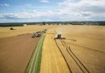 Campo a Pleno tweet media