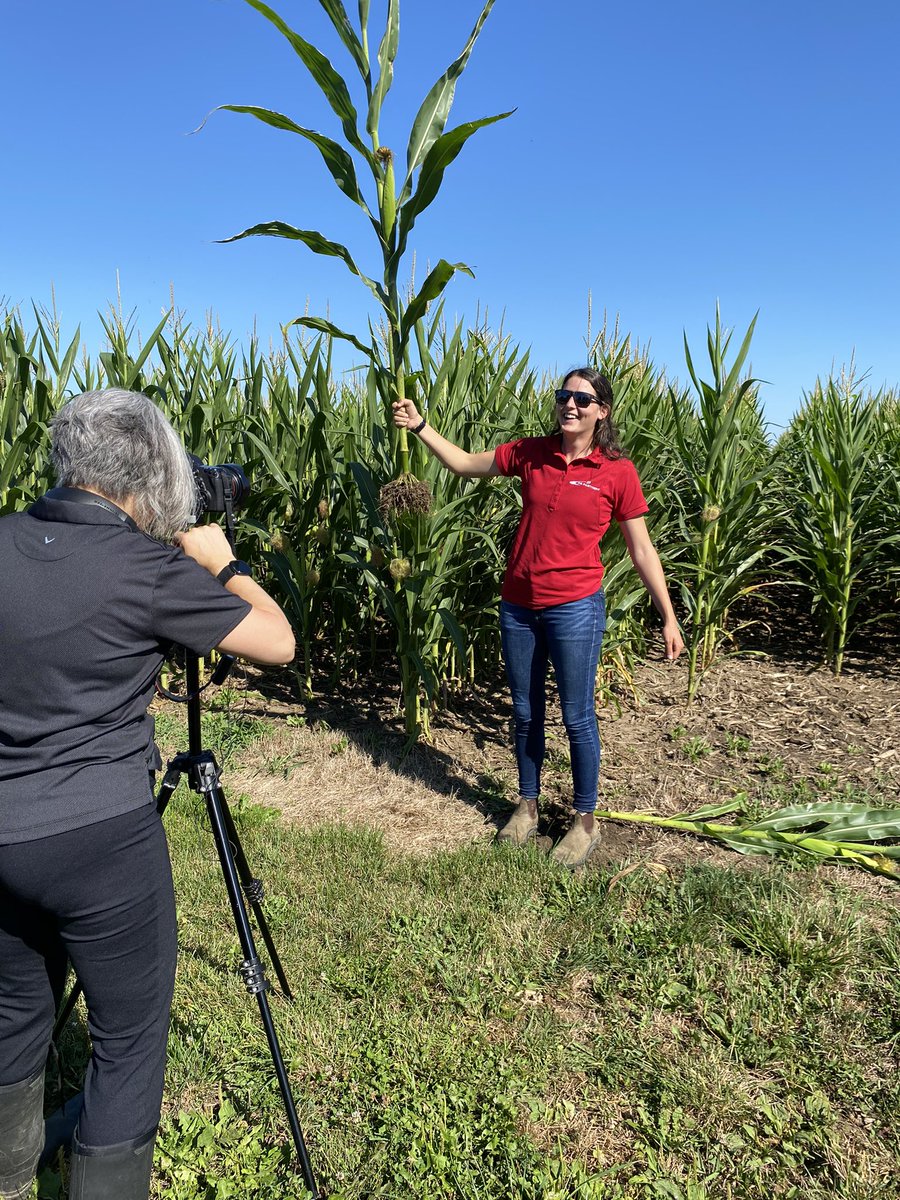 Grabbing footage for our @FS_PARTNERS Bringing You What’s Next “virtual plot tour” this morning!! Featuring all sorts of new biologicals and ideas for the future farmer. Stay tuned!! #OntAg @FS_PARTNERS <a href="/NoelleAdams22/">Noelle Adams</a> @KaitlinSioen