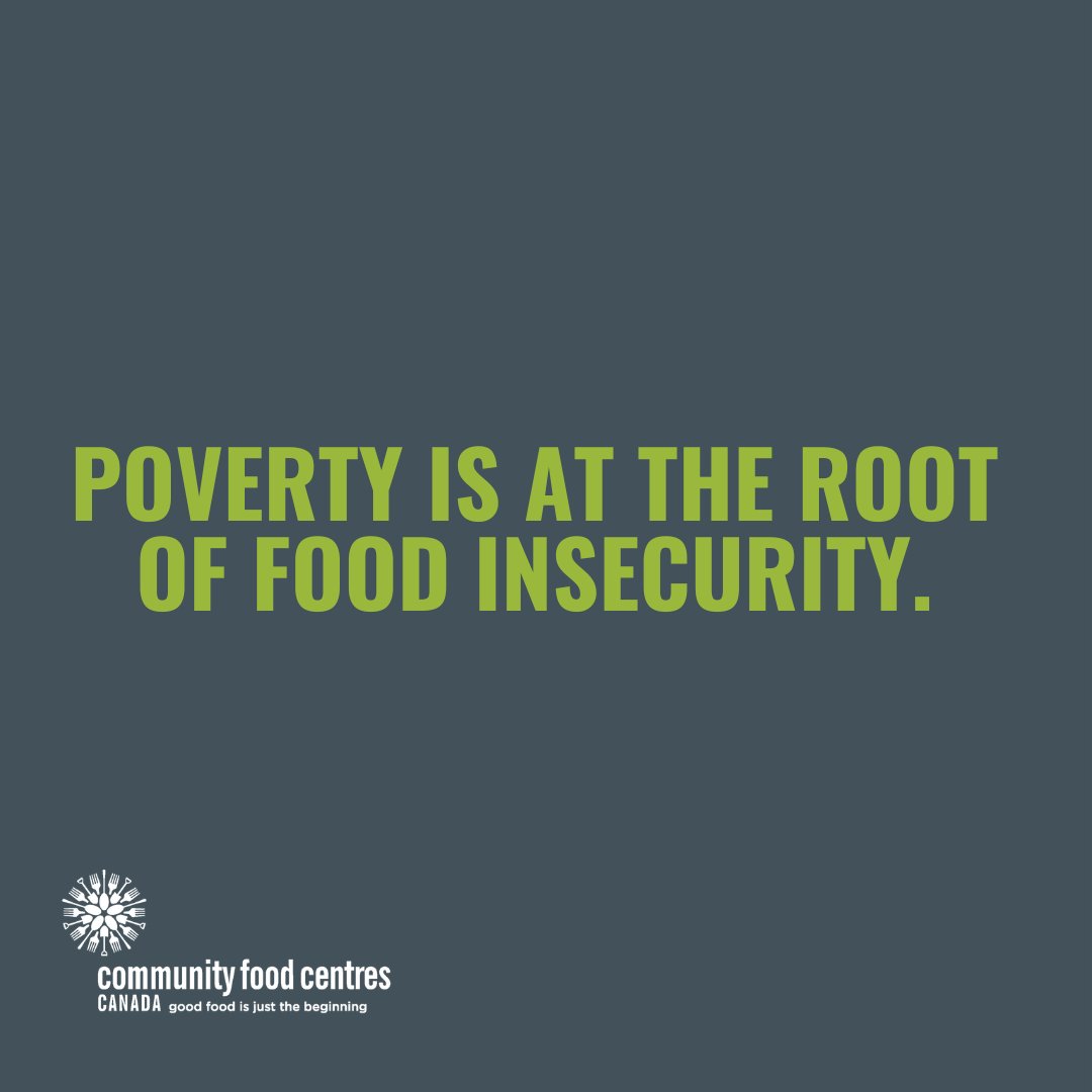 RightToFoodCA's tweet photo. 🧵1/4: The latest report from @PROOFCanada is eye-opening. Almost 1 in 6 people are currently experiencing food insecurity and those numbers are expected to rise as inflation continues to squeeze family budgets. https://t.co/setuM7qGdT
