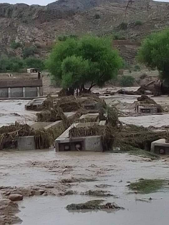 NaeemAdill99's tweet photo. We will never forget...ofcourse never😢😢😢😢
#TaunsaNeedsAttention
#TaunsaFlood https://t.co/hlBQ7BPlfQ