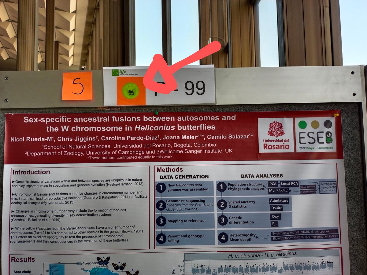 Very happy to find a smiley face on my poster today. This means it is in the top 10% of posters at #ESEB2022. If you are here, and you are interested in chromosomal fusions visit my poster 99.