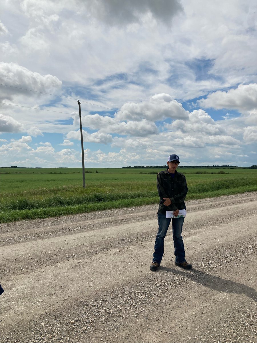 Living Lab - Eastern Prairies (LLEP) tweet media