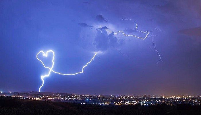 유 tweet media