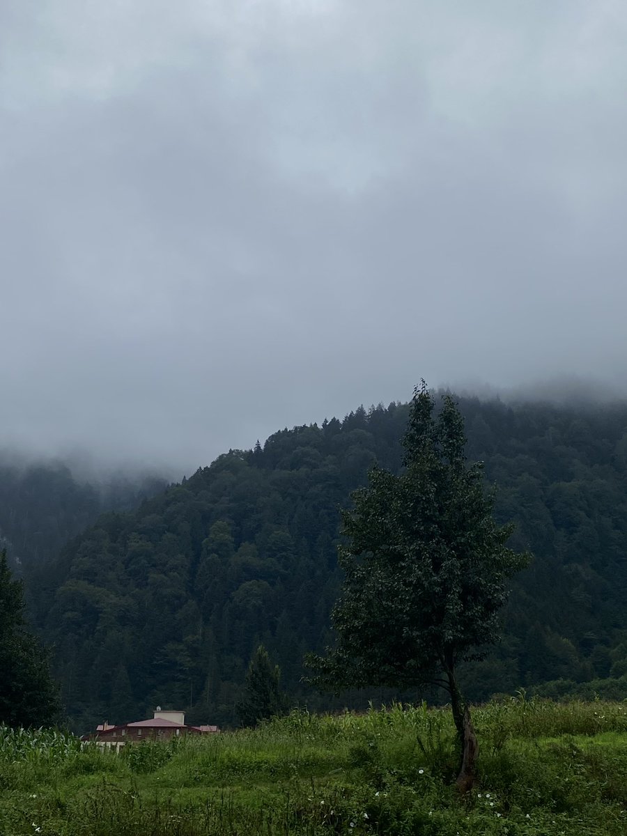 Lamar ☼ tweet media