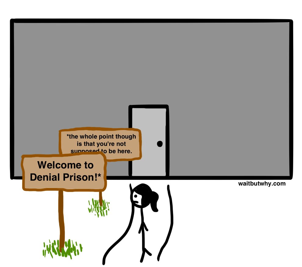 Tim Urban tweet media