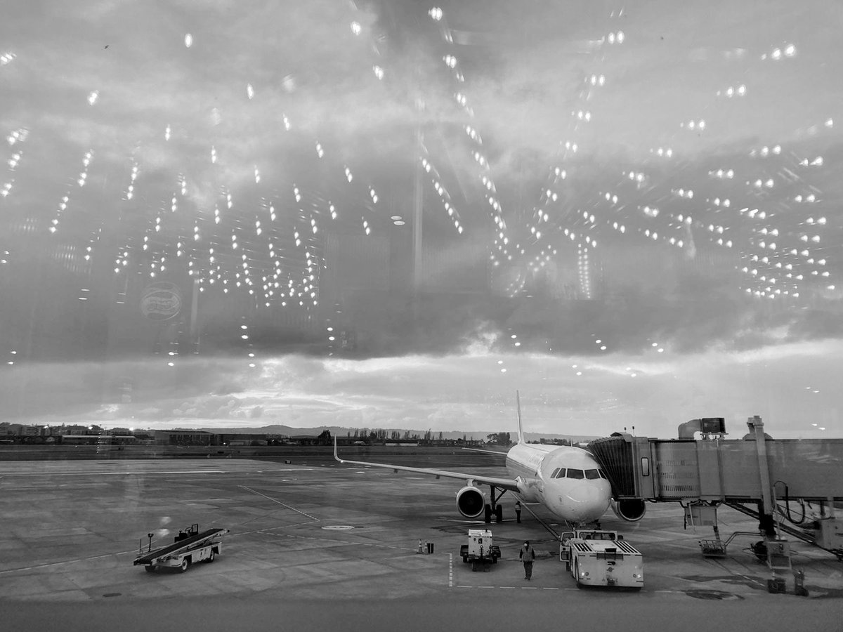 PlataformaMinima tweet media