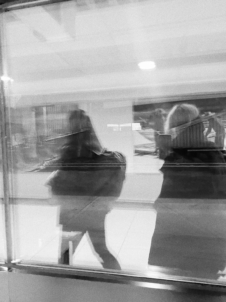 PlataformaMinima tweet media