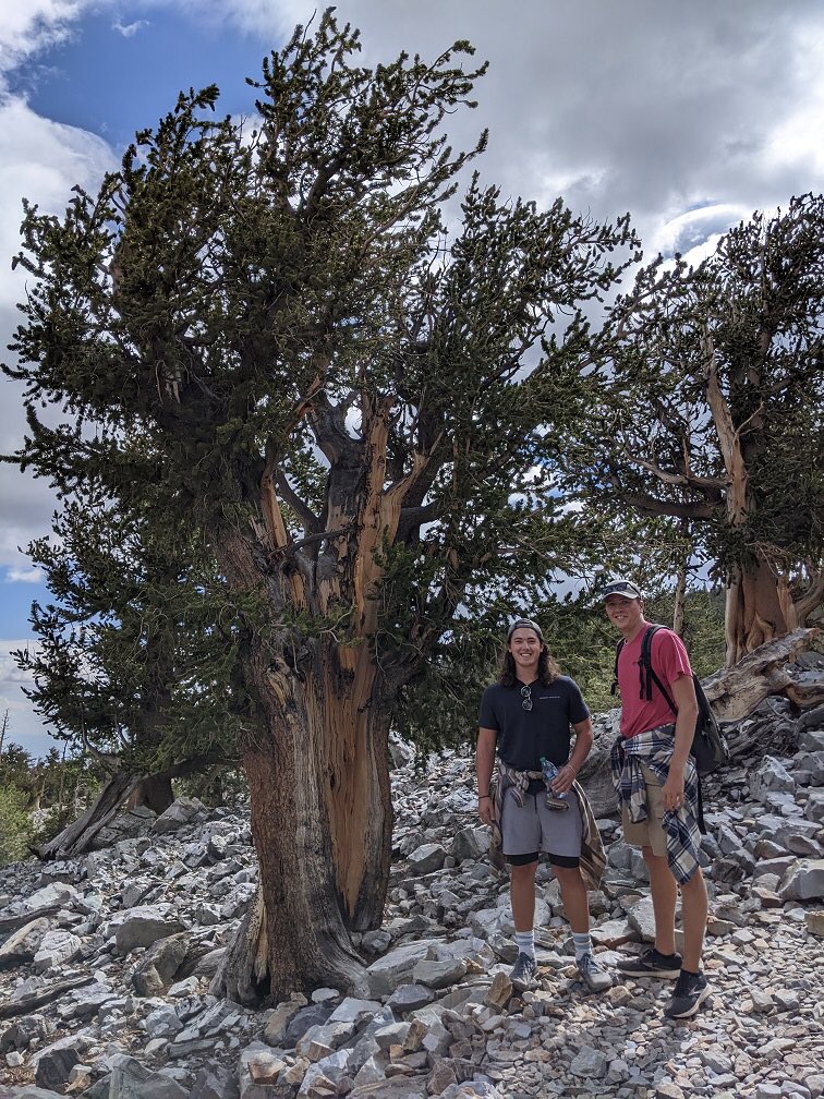 una_geo's tweet photo. #una_geo students Isaac Bowling and Hunter Carlton and Dr Pretes traveled to Nevada and Utah to conduct field research at Great Basin National Park. They saw 4000-year-old bristlecone pines, hiked to Nevada's only glacier, went in Lehman Caves and boated on the Great Salt Lake(2) https://t.co/ZaQ2ob46hz