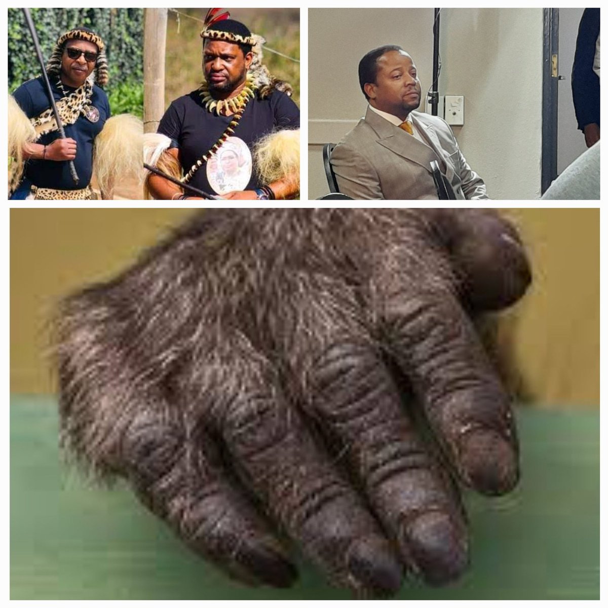 EugeniaKulaAmey's tweet photo. I hope there is no sandla semfene in the Royal Heir https://t.co/ItU63DzTaT praying for what is right to be done and elders to do what is fight.#ZuluRoyalFamily #KingMisuzulu #cyrilramaposa https://t.co/HNpl3fE27X