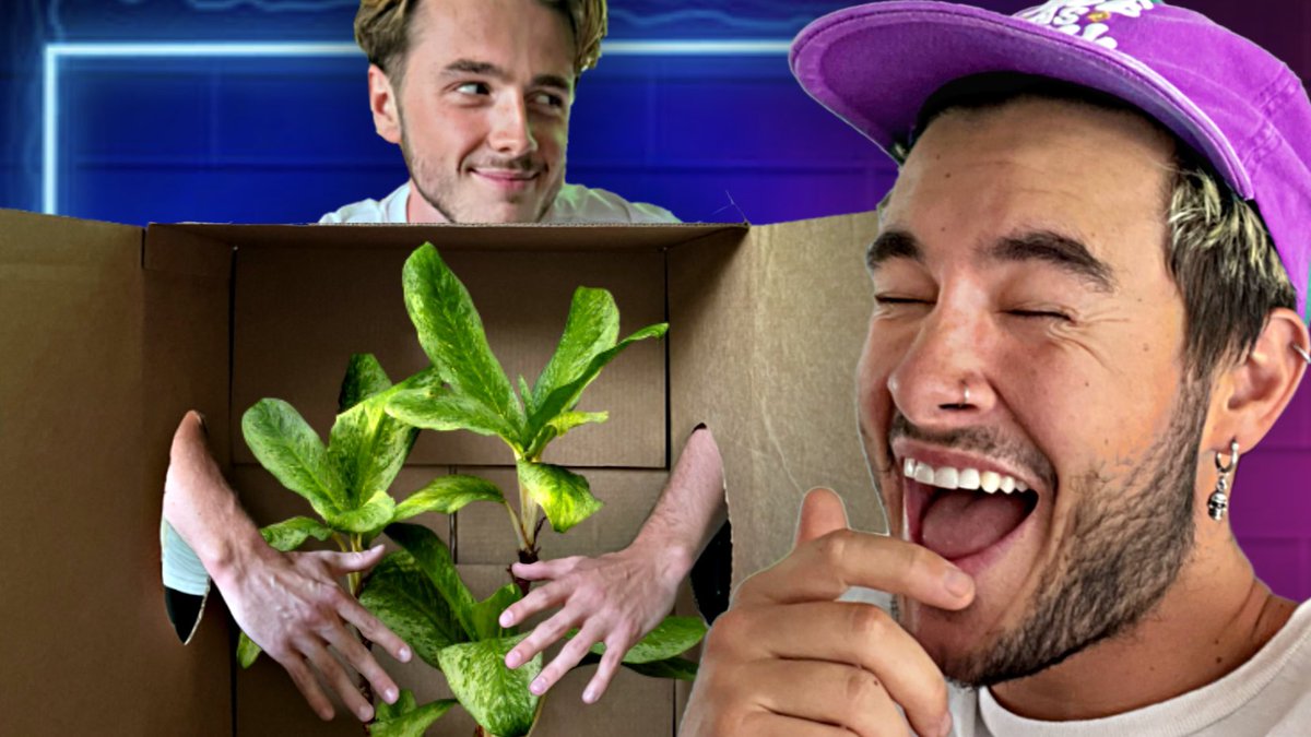 kian lawley tweet media