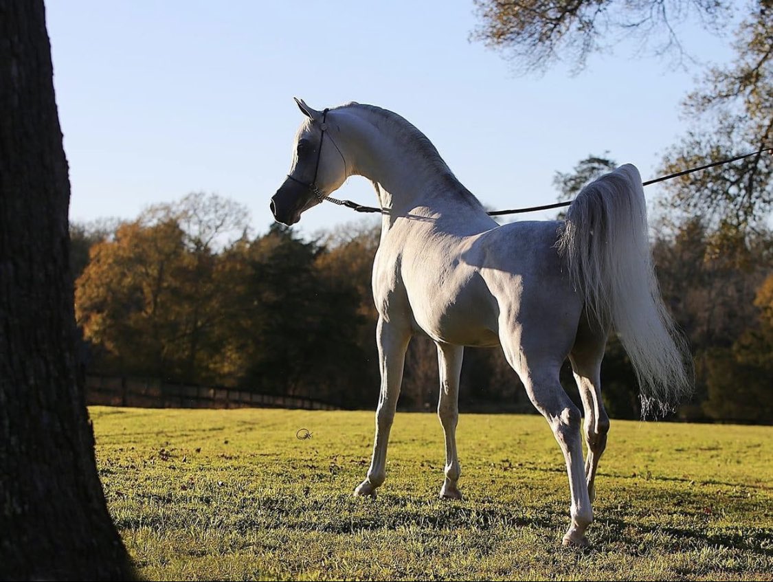 بعض الصدف وراها #حياة وأنت أقرب مثال❤️.