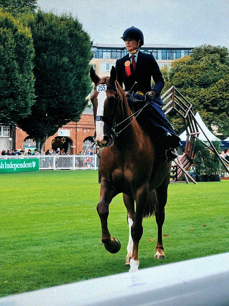 👩‍⚖️York to Ireland to watch <a href="/sophiewwbuckley/">sophie buckley</a> <a href="/CulworthGrounds/">Culworth Grounds</a> tick a special one off the bucket list: Ride judge for the side saddle class at the Dublin Horse Show. 

A proud moment.🤩 I always knew she was a good judge, why else would she put up with me! 😂🙈 #JudgeSophie #Hero👩‍⚖️