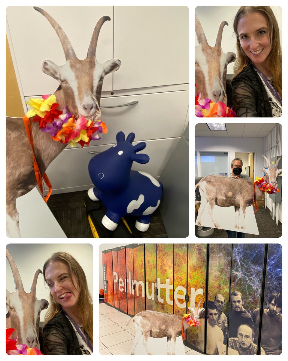melrom's tweet image. The Berkeley Lab #SelfieGoat is on the loose! He came down to the @NERSC control room to learn about our Site-Reliability Engineers &amp;amp; made sure to visit our #Perlmutter supercomputer before being wrangled back into his pen. 
💙💛